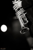 2015-06-29 Natacha Atlas et Ibrahim Maalouf - Joel Kuby - BZ1A1269